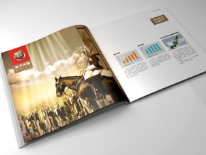 索佳液晶電視展會設計